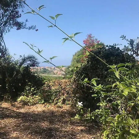Residenza Crivo بارغيليا
