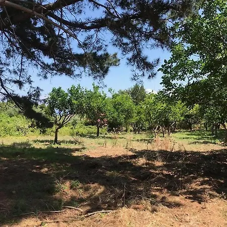 Residenza Crivo بارغيليا