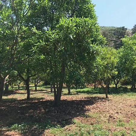 Residenza Crivo *